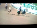 &quot;Dial me In&quot; Santa Anita Horse Race accident