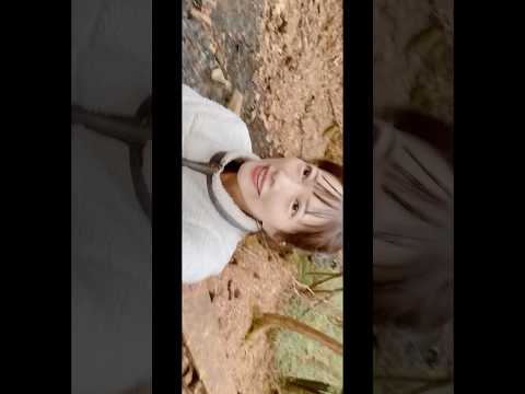 【長野県阿智村】ヘブンスそのはら♡大自然でおさんぽはんぶんこ〜！の巻。