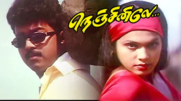 Anbe Anbe... | Nejinile | Movie Song | Vaali| Deva | Hariharan