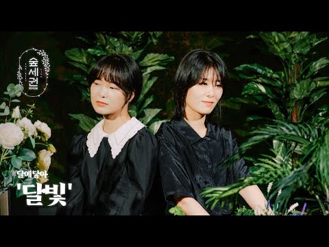 [For:Rest LIVE] DAREDAA - Moonlight