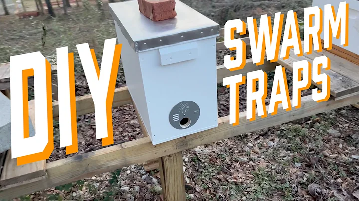 How to Build a Honey Bee Swarm Trap | DIY Beekeeping