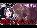 【MHW:IB】初見黒龍ミラボレアス!!!ソロ太刀でいきます🔥【そちまる/戯びび】モンスターハンターワールドアイスボーン\ミラボレアス