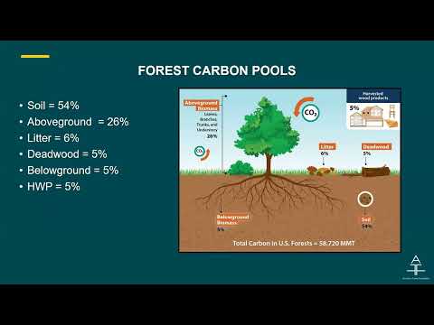 Shaw: The Family Forest Carbon Program