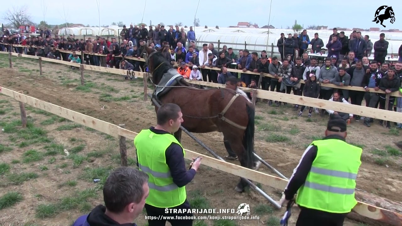 LAKA KATEGORIJA - ŠTRAPARIJADA STRUMICA 09.04.2023