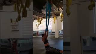 Download 플라잉요가초보강사님.필독 플라잉요가.워밍업.스트레칭.도입.aerial Yoga.flyingyoga Basic Video MP3 플라잉요가초보강사님.필독 플라잉요가.워밍업.스트레칭.도입.aerial Yoga.flyingyoga Basic