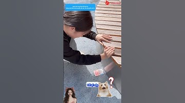 Tôi giàu rồi nhặt được tiền và cái kết #shorts #short #funny #giaitri #haihuoc #vuinhon #troll