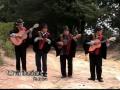 Una ilusion Musica carranguera o campesina Colombiana , jacinto y sus hermanos