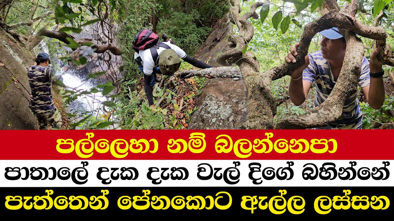 පල්ලෙහා නම් බලන්නෙපා | පාතාලේ දැක දැක වැල් දිගේ බහින්නේ | පැත්තෙන් පේනකොට ඇල්ල ලස්සන
