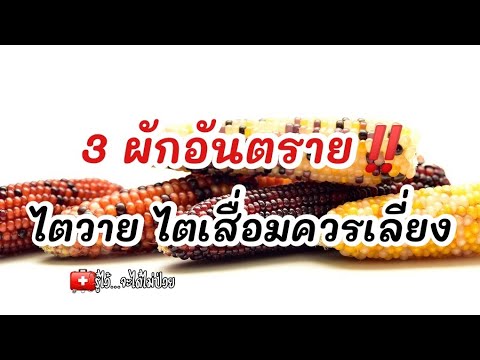 3 ผักอันตราย‼️ไตวายไตเสื่อมควรเลี่ยง|รู้ไว้จะได้ไม่ป่วย|โรคไต