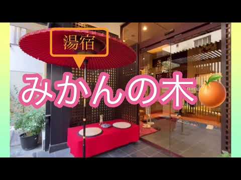 熱海温泉 湯宿みかんの木 🍊