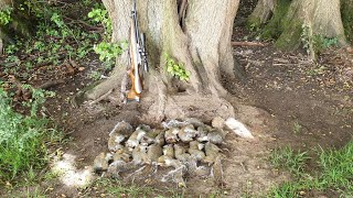 Pest Control with Air Rifles - Squirrel Shooting - Rinse and Repeat