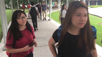 Computing Technology Assignment (2017) - The Unfold