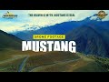 MUSTANG |  HEAVEN ON EARTH | DRONE FOOTAGE | MUKTINATH | VISIT NEPAL 2020