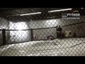 Rustam Khabilov, Adlan Amagov, Imanali Gamzatkhanov training at Jackson's - Winkelojohn's MMA-Part 1