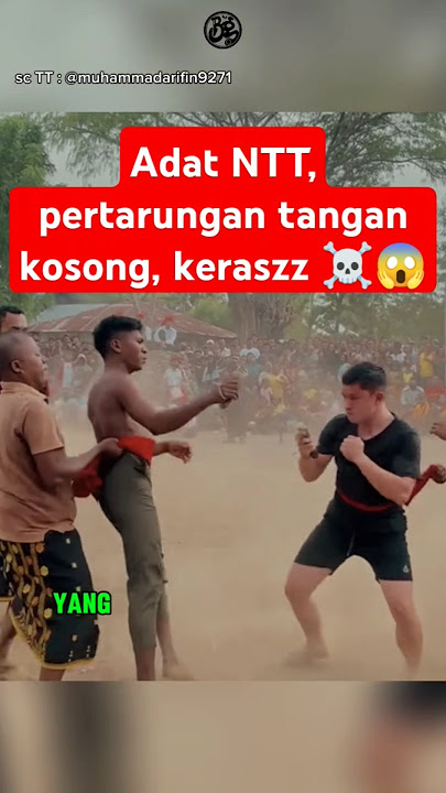 TEHNIK VS NYALI ☠️, bule ikut tinju adat NTT 😈😱         #boxing #boxingskill #fight #mma #bangghalyh