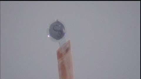 euronews hi-tech - The eyes have it: text to a contact lens