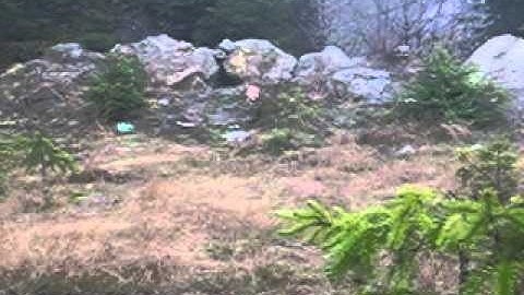 Mannequin head explodes