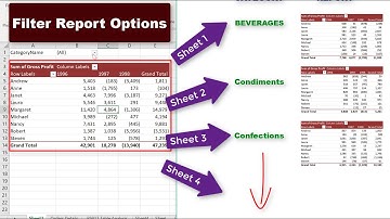 Report Filter Replicate to Multiple Pages | Short Burst Video Tips - 2 | SHKExcelWorld