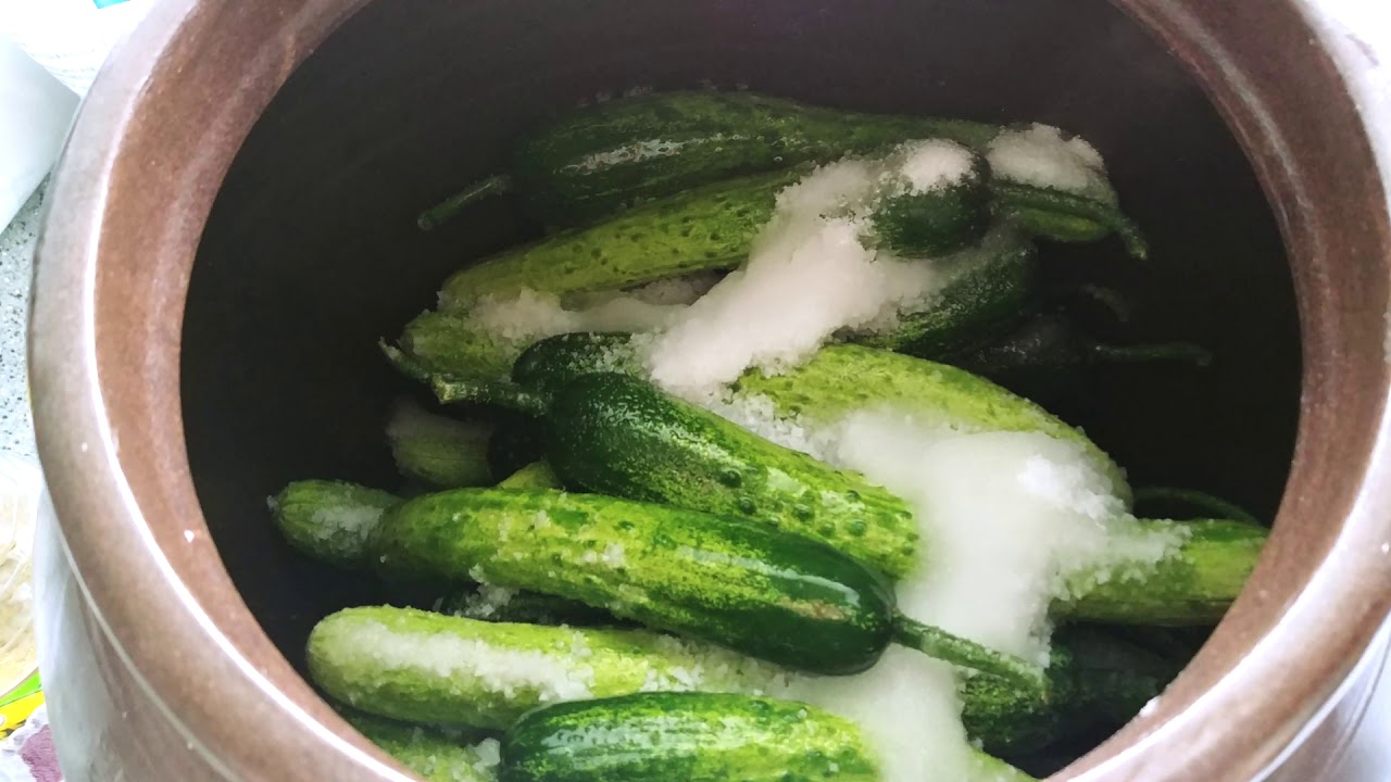 cucumbers pickle - 초간단 오이지 만들기 - YouTube