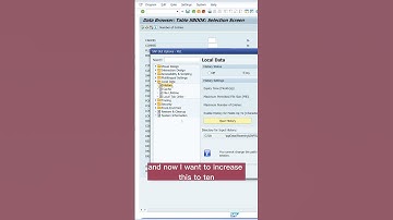 SAP GUI: Change the number of recent entries 🚀 – Here