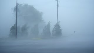 🎧 Listen, Relax \& Fall Asleep With Heavy Rainstorm \& Strong Winds - Hurricane Florence Eyewall Winds