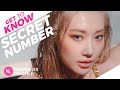 Secret Number (시크릿넘버) Members Profile & Facts (Birth Names, Positions etc..) [Get To Know K-Pop]