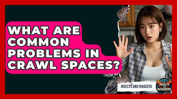 What Are Common Problems In Crawl Spaces? - Insects and Invaders