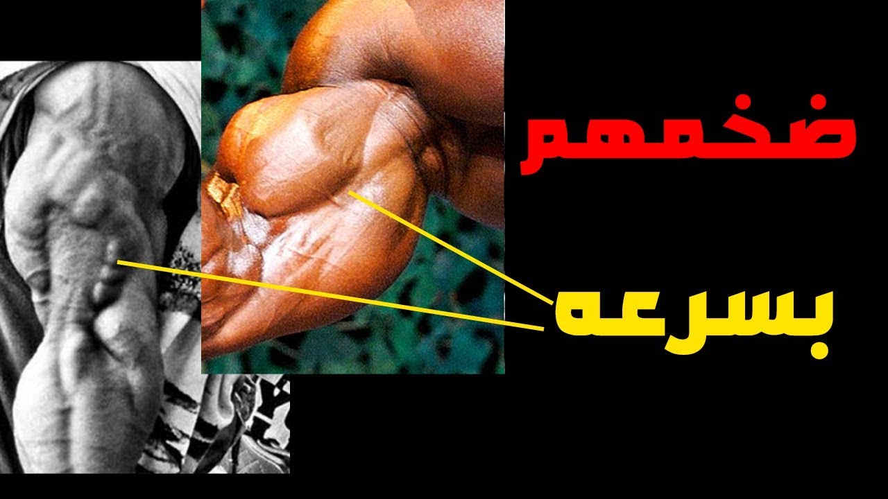 كورس التضخيم المجاني باي وتراي - برنامج التضخيم المجاني