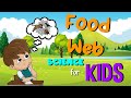 Understanding the Food Web