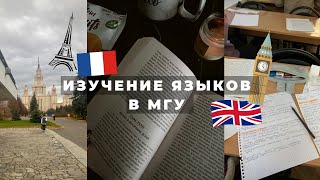 🎓Как в МГУ преподают языки? // английский и французский