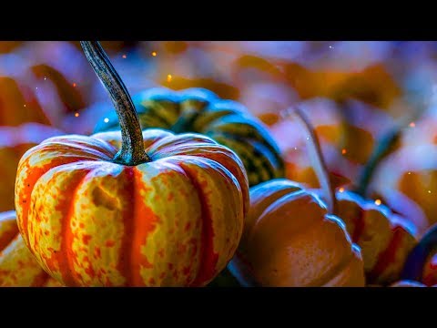 peaceful-music,-relaxing-music,-beautiful-instrumental-music-"autumn-morning"-by-tim-janis