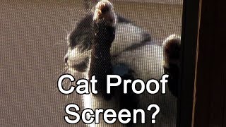 The Cure for Pet Damaged Screens? Screen Guard Pet Resistant Screen