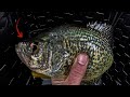 Catching monster crappie on a frozen river during a blizzard surprise catch