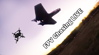 Quads vs Wings - FPV CHASE LIVE