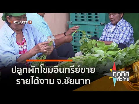 วีดีโอ: วิธีปลูกผักโขม – เรียนรู้การปลูกผักโขมในสวน