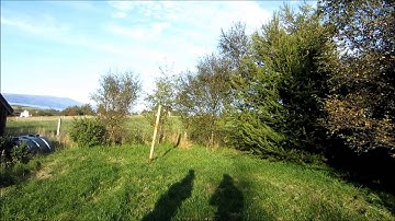 Proto Rail 2011 vs Invert Mini - Shooting