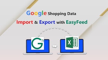 Mastering Data Flow: Import and Export Strategies for Google Shopping Optimization | Urdu