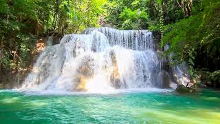 Waterfalls In Deep Forest at Huai Mae Waterfall 4k. Waterfall, White Noise, Nature Sounds to Sleep. by Nature Zilla 83,924 views 2 years ago 10 hours, 5 minutes