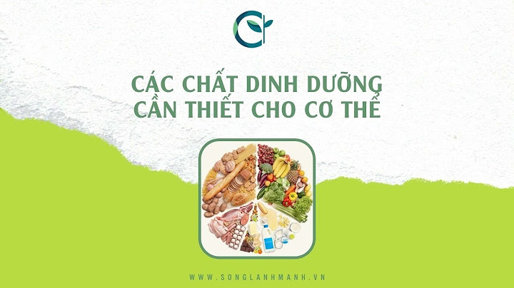 Cơ thể cần những chất dinh dưỡng nào năm 2024