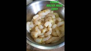 Chingri macher malai curry ranna chingri recepies bhojonrosik bengali follower fish kolkata