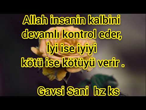 GAVS HZ SÖZLERİ