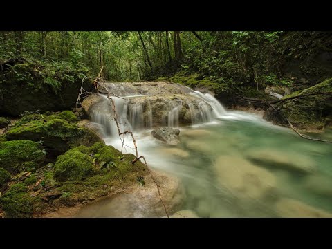 Visitamos el Río El MULITO y Nos Bañamos entre Rep. Dom y HAITÍ - WilliamRamosTV