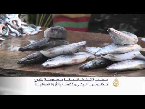 بحيرة تنجانيقا ببوروندي تنوع بيئي غني بالثروة السمكية