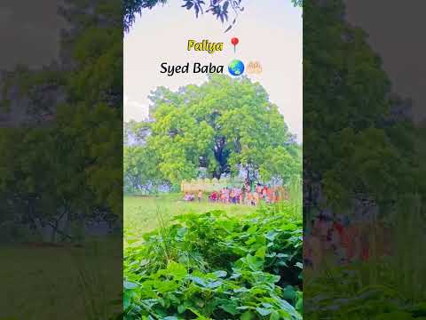 Paliya Syed Baba 🌏🤲🏻 #shorts #viralvideo #trending #explore #