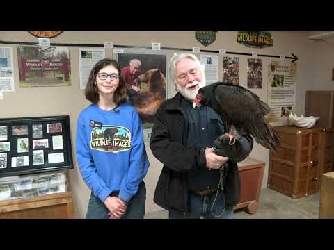 Walk on the Wild Side with KTVL - Outreach Programs