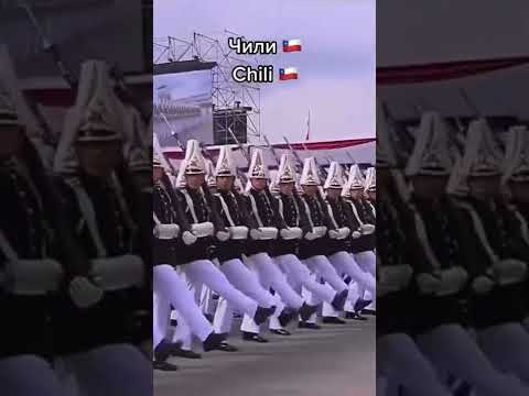 Как маршируют в разных странах #shorts #жириновский #путин