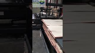 Plywood Forming Machine for Core Veneer Paving plywood assembling line 30M mesh belt conveyor line