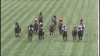 Vidéo de la course PMU THE VERY ONE STAKES