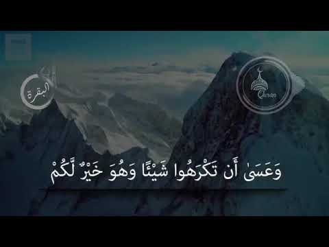 كتب عليكم القتال وهو كره لكم وعسى ان تكرهو شيء وهو خير لكم حالات دينيه حالات واتس اب قصيره