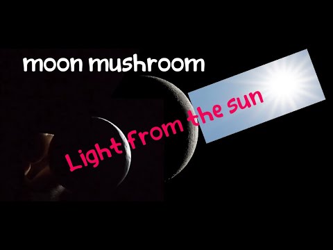Освещение луны от солнца, гриб, над плоской землей